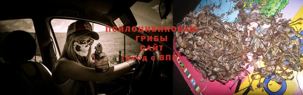 apvp Верхний Тагил