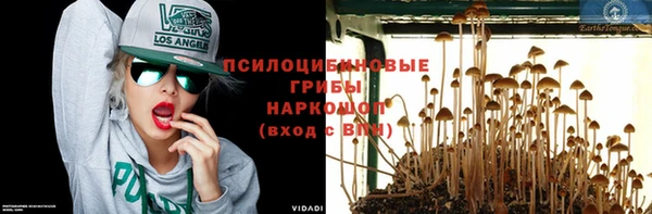 не бодяженный Верея